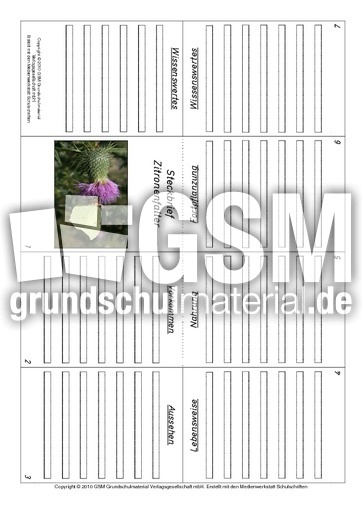 Faltbuch-Zitronenfalter.pdf